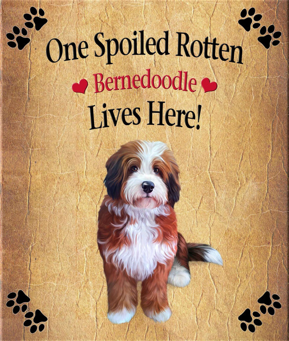 Spoiled Rotten Dog or Cat Magnet Over 100 Breeds Available