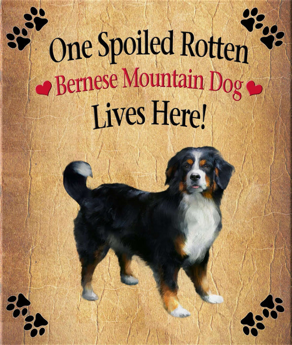 Spoiled Rotten Dog or Cat Magnet Over 100 Breeds Available