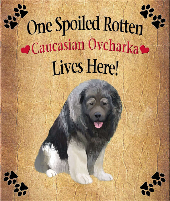 Spoiled Rotten Dog or Cat Magnet Over 100 Breeds Available