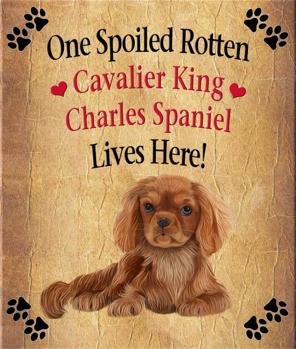 Spoiled Rotten Dog or Cat Magnet Over 100 Breeds Available