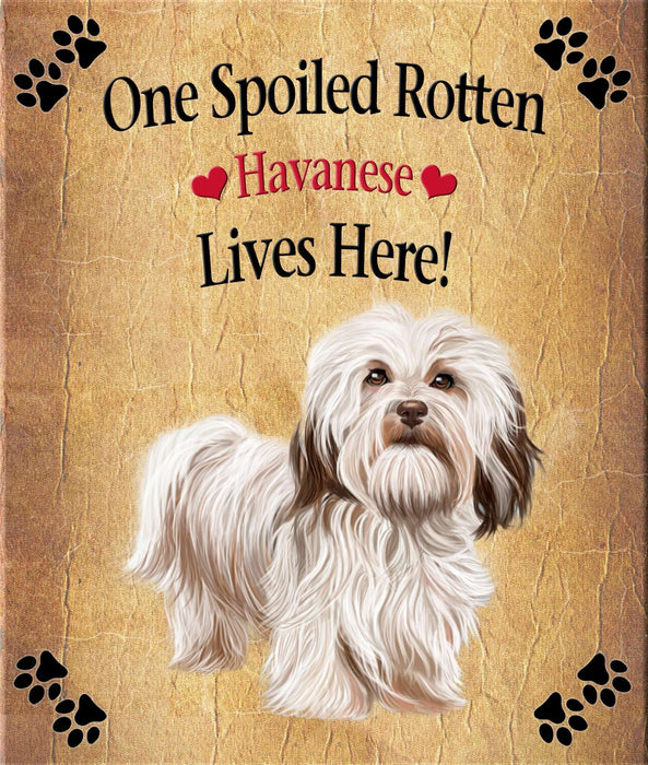 Spoiled Rotten Dog or Cat Magnet Over 100 Breeds Available