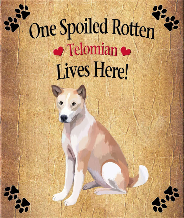 Spoiled Rotten Dog or Cat Magnet Over 100 Breeds Available