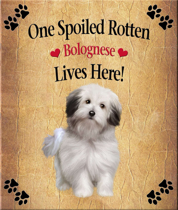 Spoiled Rotten Dog or Cat Magnet Over 100 Breeds Available