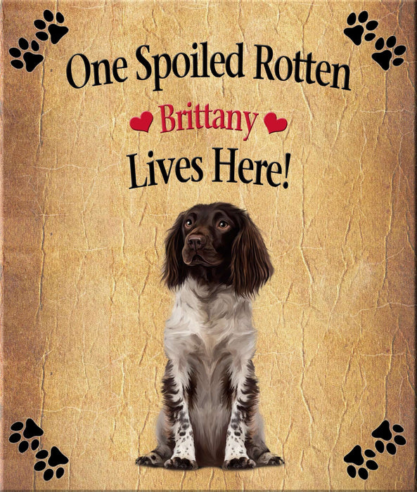 Spoiled Rotten Dog or Cat Magnet Over 100 Breeds Available