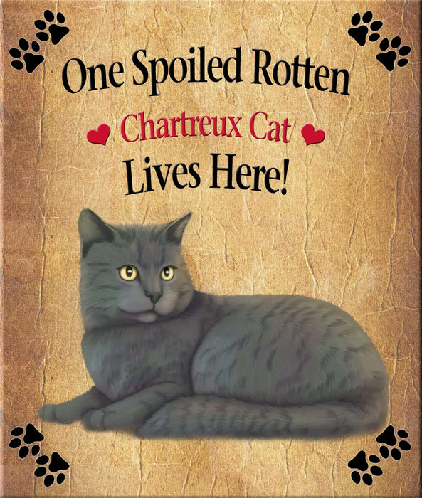 Spoiled Rotten Dog or Cat Magnet Over 100 Breeds Available
