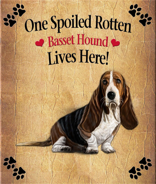 Spoiled Rotten Dog or Cat Magnet Over 100 Breeds Available