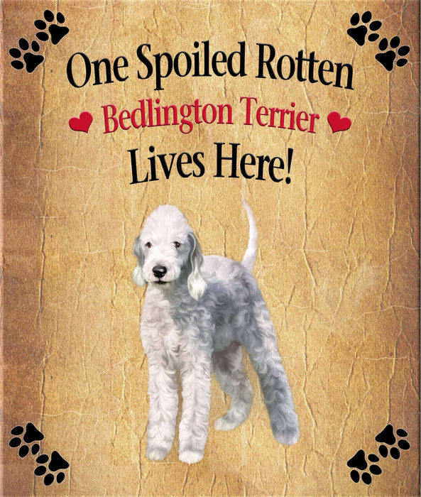 Spoiled Rotten Dog or Cat Magnet Over 100 Breeds Available