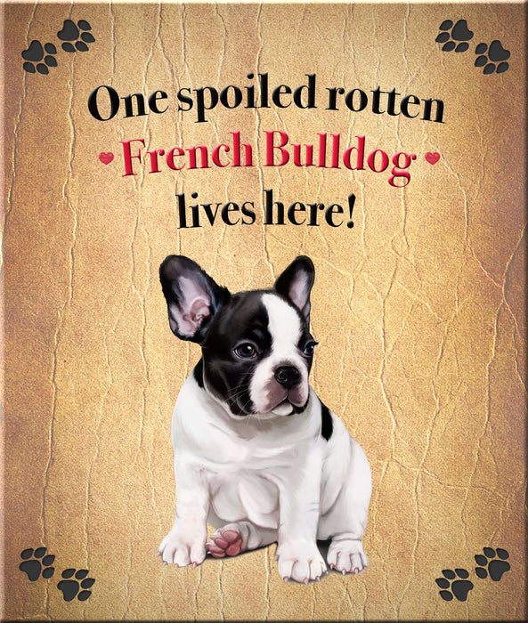 Spoiled Rotten Dog or Cat Magnet Over 100 Breeds Available