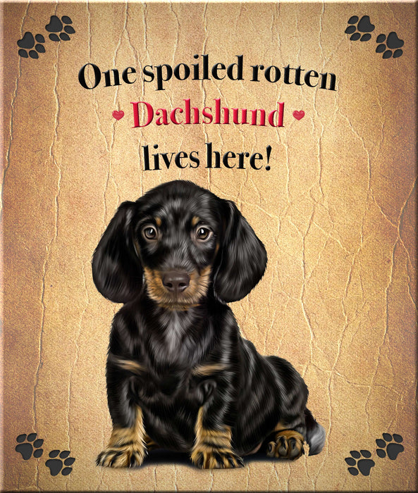 Spoiled Rotten Dog or Cat Magnet Over 100 Breeds Available
