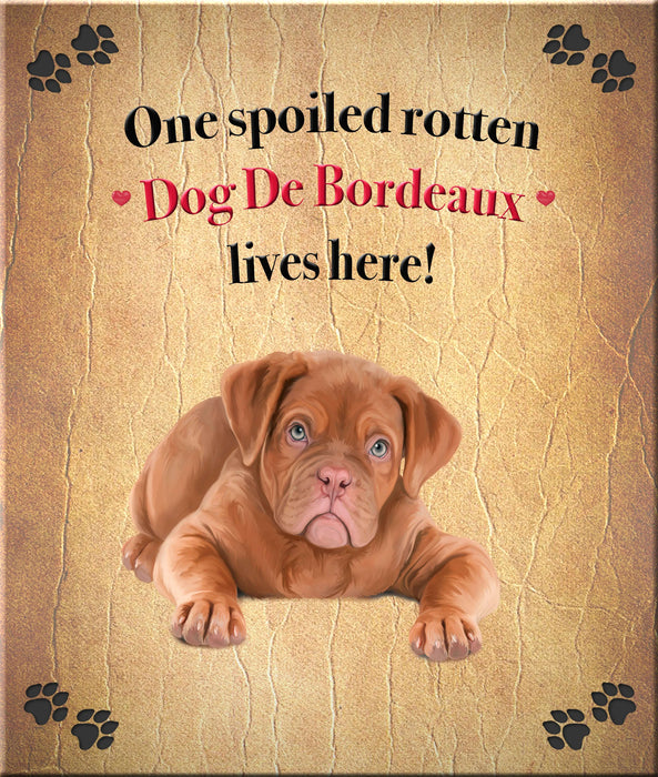 Spoiled Rotten Dog or Cat Magnet Over 100 Breeds Available