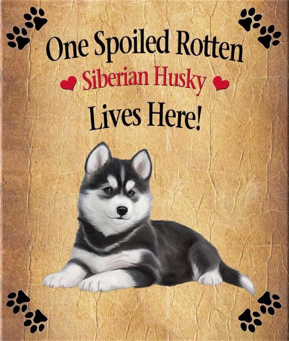 Spoiled Rotten Dog or Cat Magnet Over 100 Breeds Available