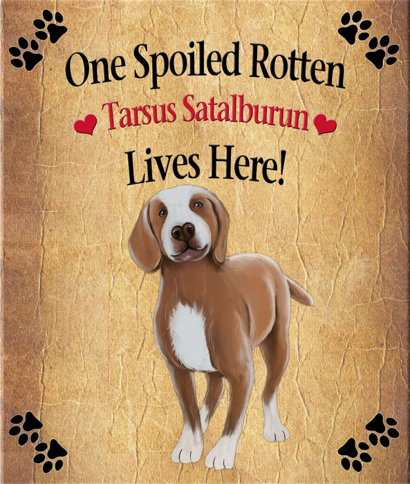 Spoiled Rotten Dog or Cat Magnet Over 100 Breeds Available