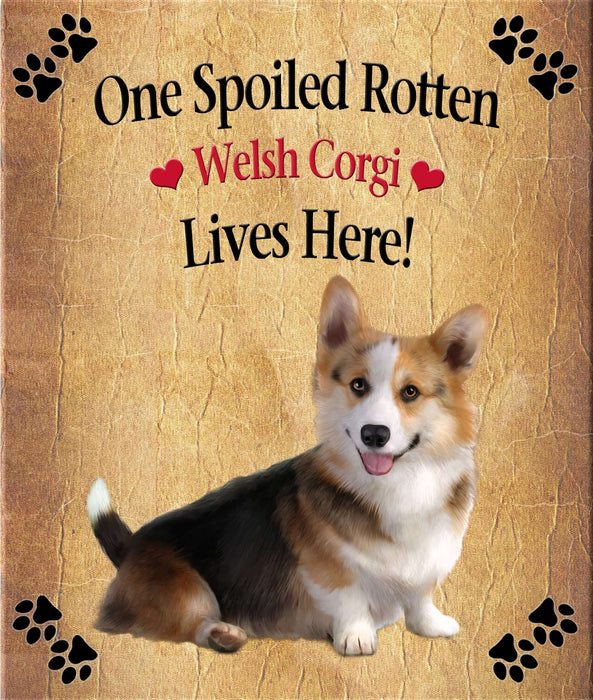 Spoiled Rotten Dog or Cat Magnet Over 100 Breeds Available