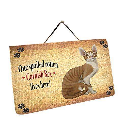 Cornish Rex Cat Wall Décor Hanging Spoiled Rotten Dog Slate
