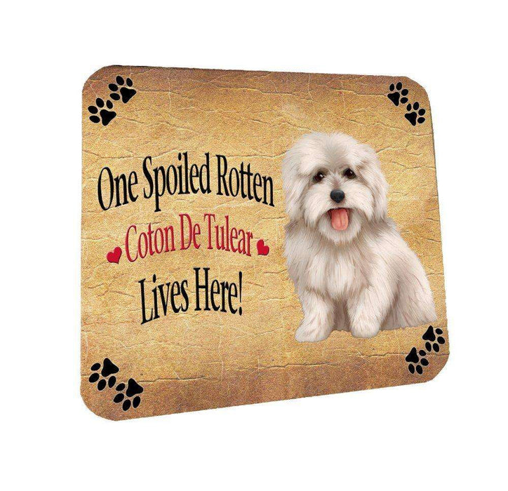 Coton De Tulear Spoiled Rotten Dog Coasters Set of 4