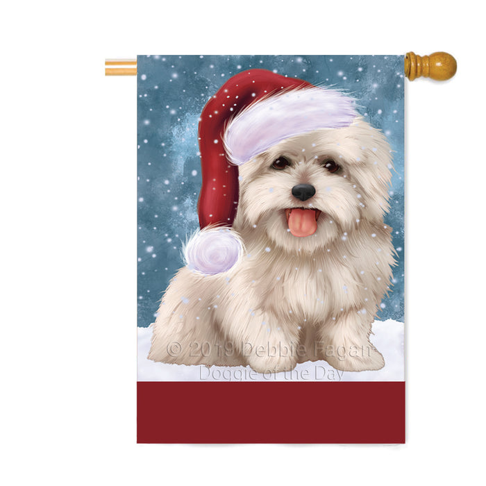 Personalized Let It Snow Happy Holidays Coton De Tulear Dog Custom House Flag FLG-DOTD-A62397