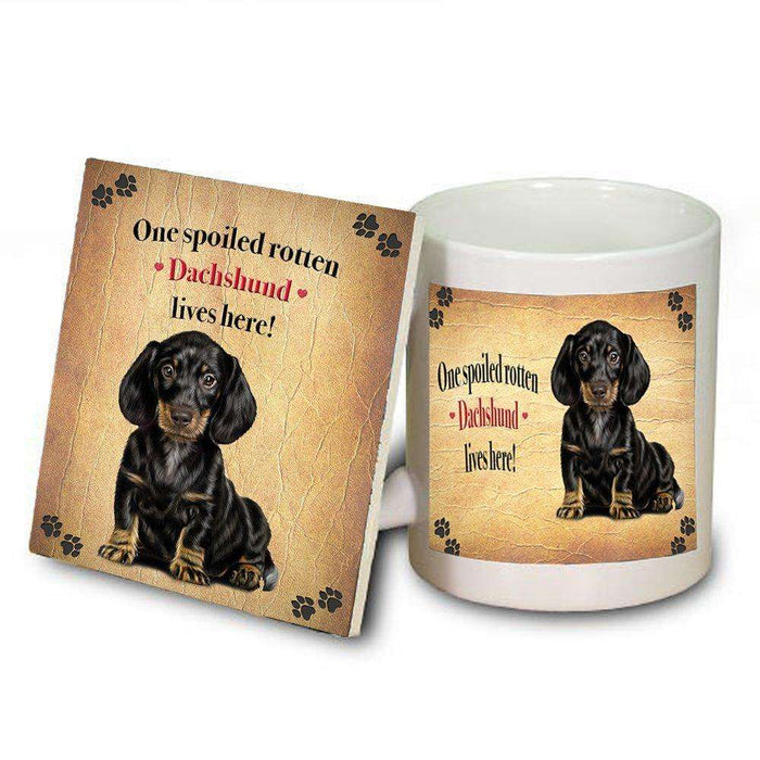 Dachschund Portrait Spoiled Rotten Dog Coaster and Mug Combo Gift Set