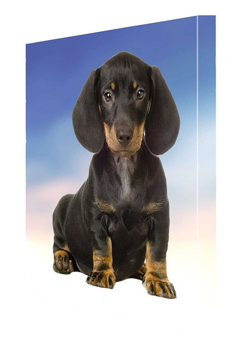 Dachshund Dog Canvas