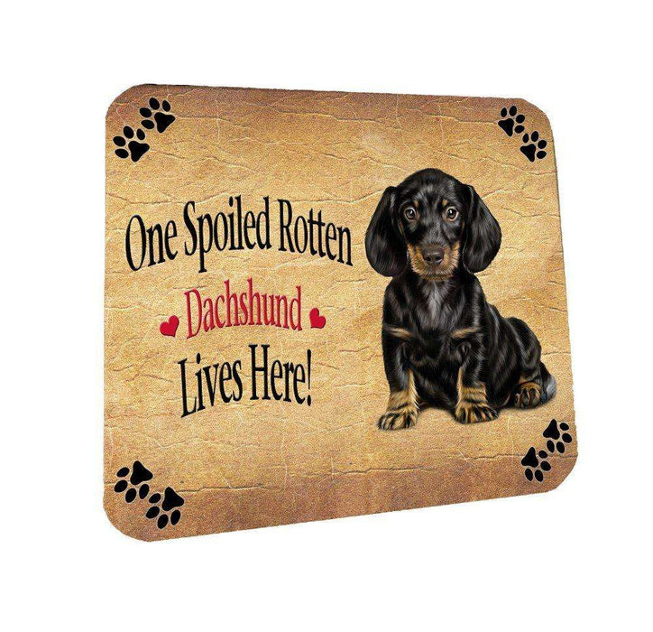 Dachshund Spoiled Rotten Dog Coasters Set of 4