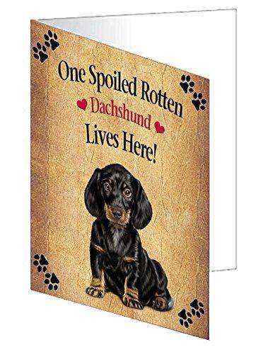 Dachshund Spoiled Rotten Dog Handmade Artwork Assorted Pets Greeting Cards and Note Cards with Envelopes for All Occasions and Holiday Seasons