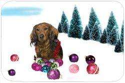 Dachshund Tempered Large Cutting Board Christmas