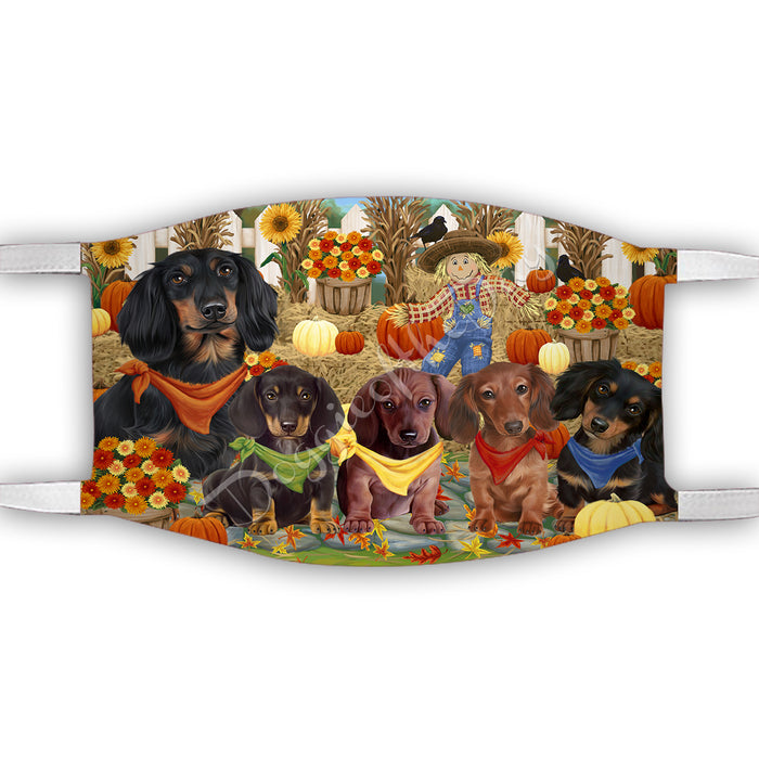 Fall Festive Harvest Time Gathering  Dachshund Dogs Face Mask FM48532