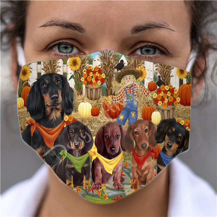 Fall Festive Harvest Time Gathering  Dachshund Dogs Face Mask FM48532