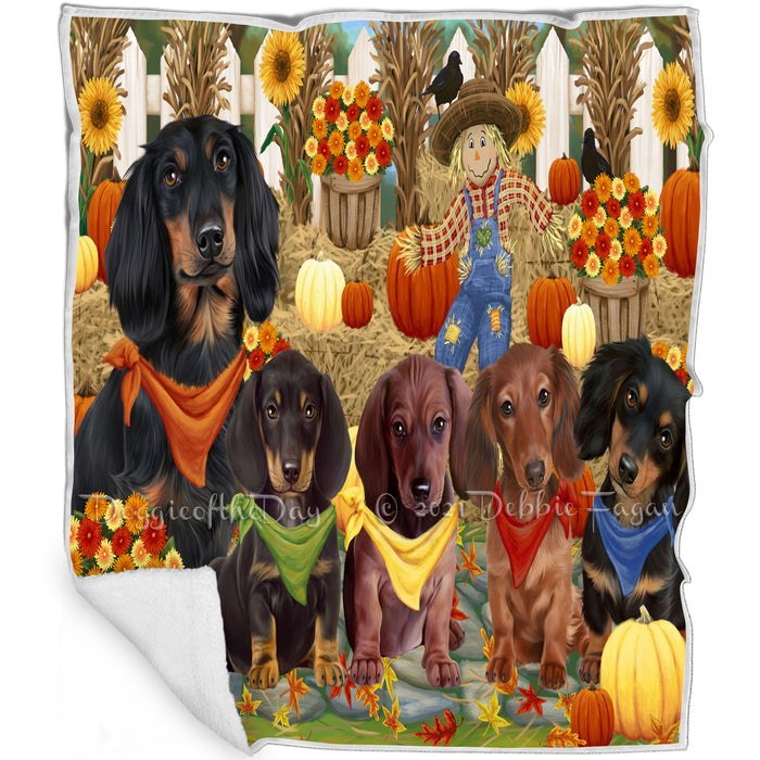 Fall Festive Gathering Dachshunds Dog with Pumpkins Blanket BLNKT71841