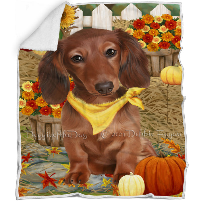 Fall Autumn Greeting Dachshund Dog with Pumpkins Blanket BLNKT72777