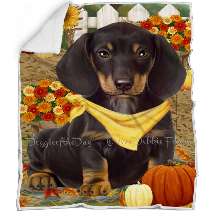Fall Autumn Greeting Dachshund Dog with Pumpkins Blanket BLNKT72768
