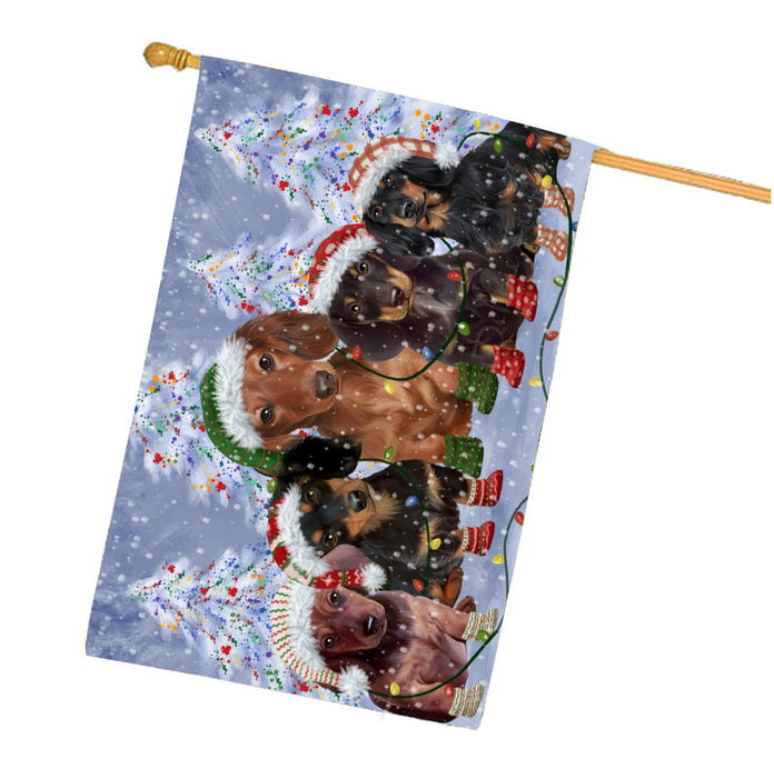 Christmas Lights and Dachshund Dogs House Flag Outdoor Decorative Double Sided Pet Portrait Weather Resistant Premium Quality Animal Printed Home Decorative Flags 100% Polyester