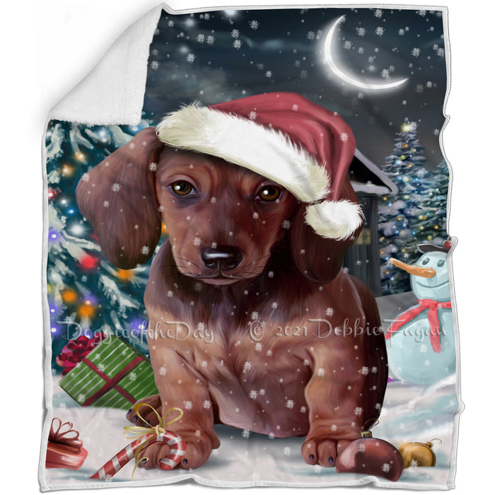 Have a Holly Jolly Christmas Dachshund Dog in Holiday Background Blanket D084