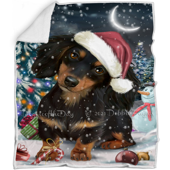 Have a Holly Jolly Christmas Dachshund Dog in Holiday Background Blanket D085