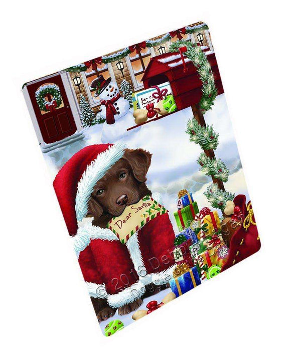 Dear Santa Mailbox Christmas Letter Chesapeake Bay Retriever Dog Art Portrait Print Woven Throw Sherpa Plush Fleece Blanket