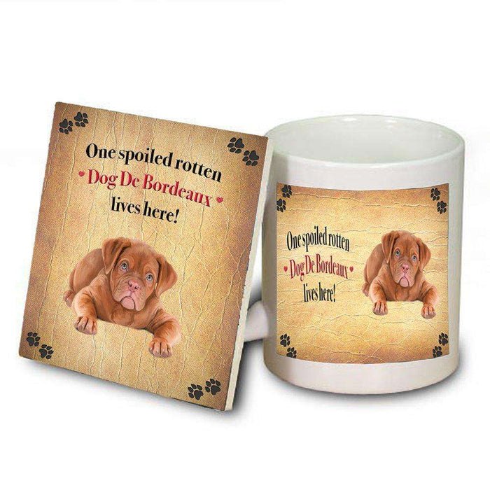 Dog De Bordeaux Spoiled Rotten Dog Coaster and Mug Combo Gift Set