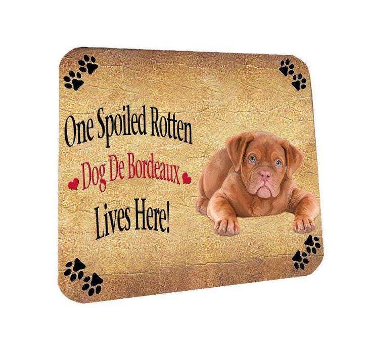 Dog De Bordeaux Spoiled Rotten Dog Coasters Set of 4