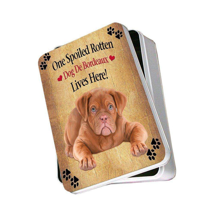 Dog De Bordeaux Spoiled Rotten Dog Photo Storage Tin