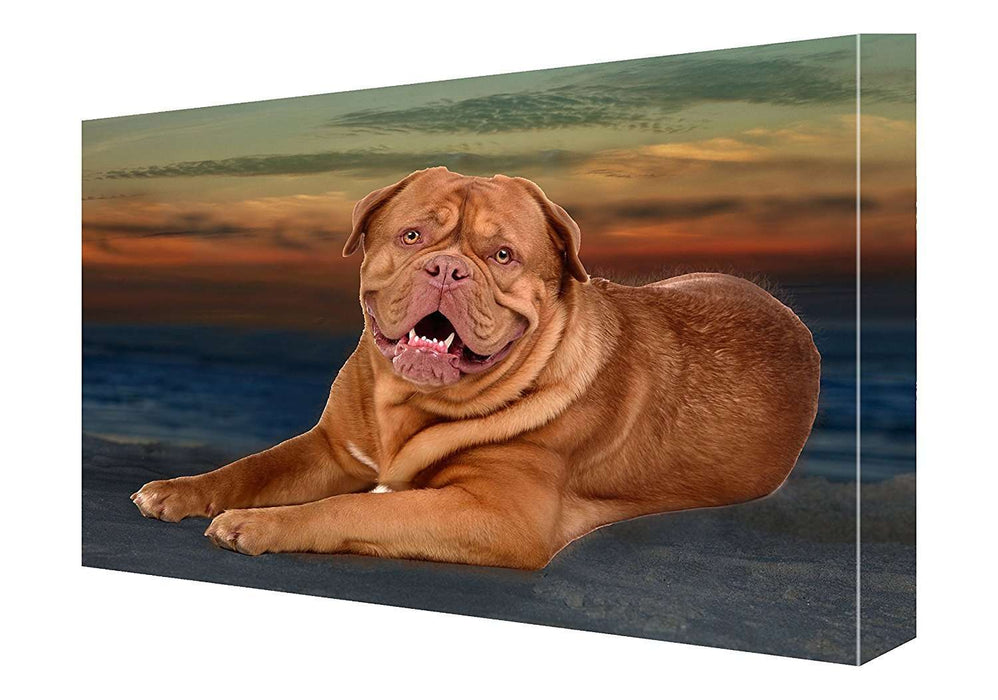 Dogue De Bordeaux Dog Canvas 18 X 24