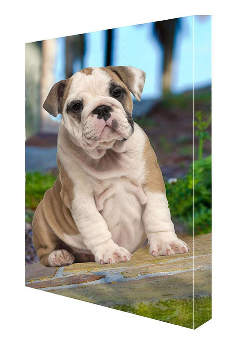 English Bulldog Canvas 18 x 24