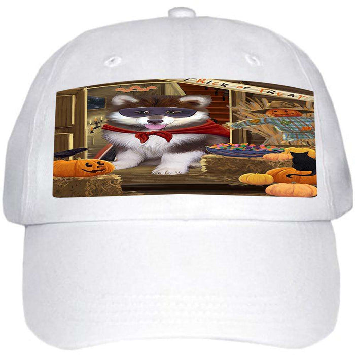 Enter at Own Risk Trick or Treat Halloween Alaskan Malamute Dog Ball Hat Cap HAT62538