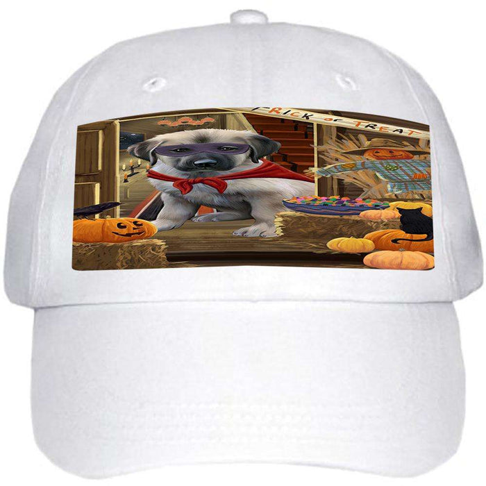 Enter at Own Risk Trick or Treat Halloween Anatolian Shepherd Dog Ball Hat Cap HAT62583