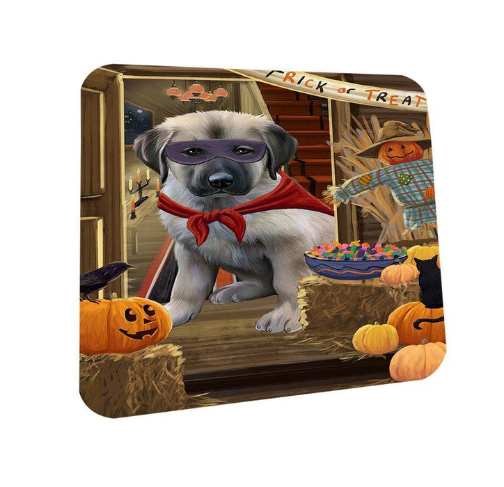 Enter at Own Risk Trick or Treat Halloween Anatolian Shepherd Dog Coasters Set of 4 CST52909