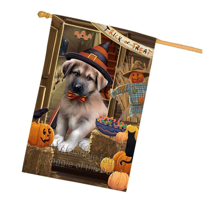 Enter at Own Risk Trick or Treat Halloween Anatolian Shepherd Dog House Flag FLG53151