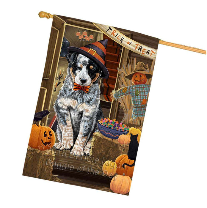 Enter at Own Risk Trick or Treat Halloween Australian Cattle Dog House Flag FLG53156