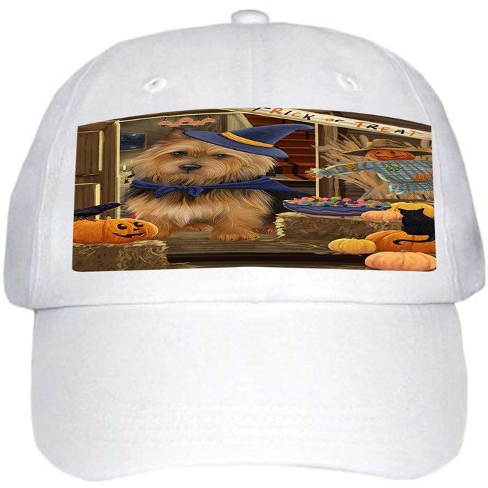 Enter at Own Risk Trick or Treat Halloween Australian Terrier Dog Ball Hat Cap HAT62640