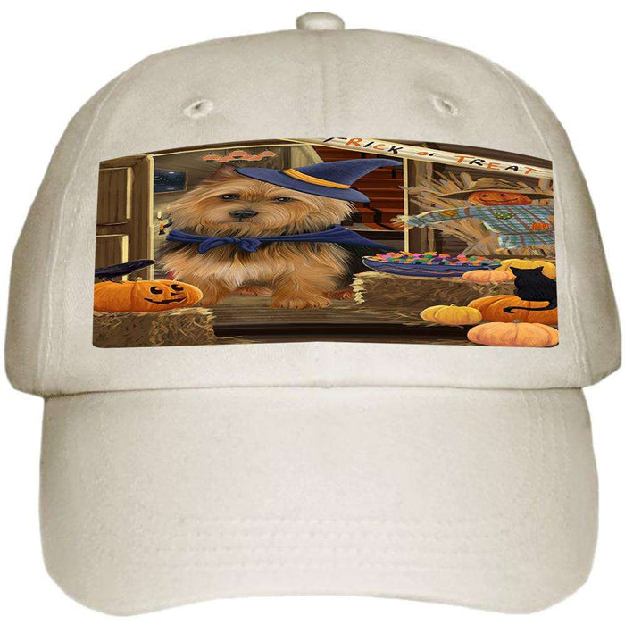 Enter at Own Risk Trick or Treat Halloween Australian Terrier Dog Ball Hat Cap HAT62640