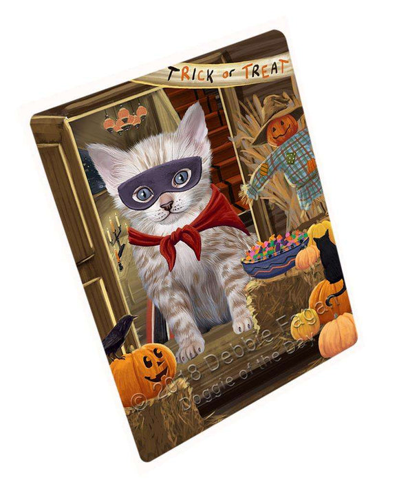 Enter At Own Risk Trick Or Treat Halloween Bengal Cat Magnet Mini (3.5" x 2") MAG63414