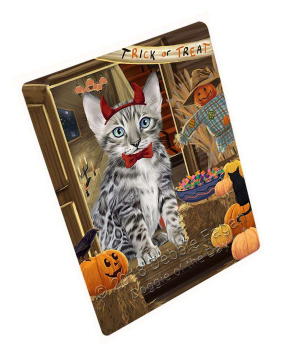 Enter At Own Risk Trick Or Treat Halloween Bengal Cat Magnet Mini (3.5" x 2") MAG63420