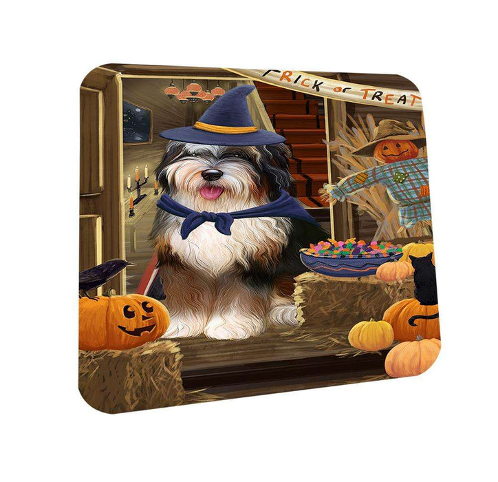 Enter at Own Risk Trick or Treat Halloween Bernedoodle Dog Coasters Set of 4 CST52953