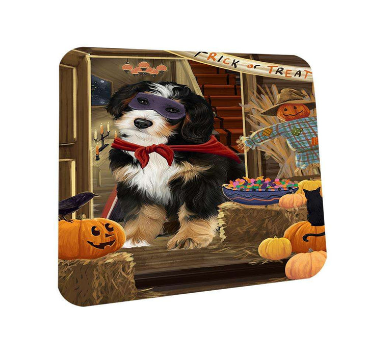 Enter at Own Risk Trick or Treat Halloween Bernedoodle Dog Coasters Set of 4 CST52954